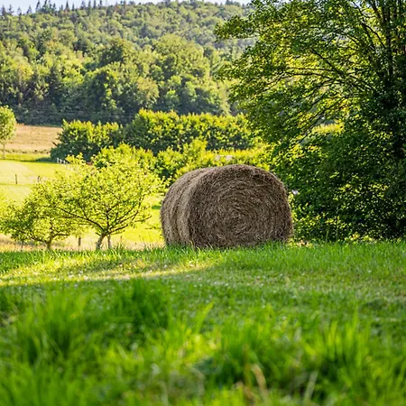 Oda ve Kahvaltı De La Cour